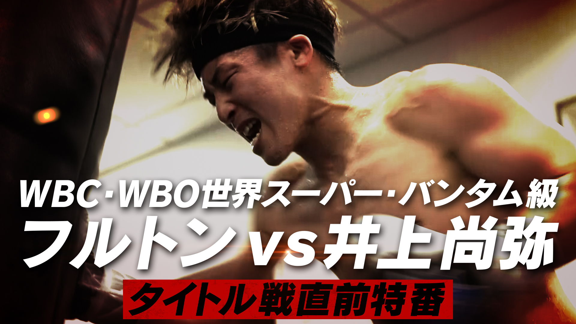 WBC・WBO世界スーパー・バンタム級　フルトンvs井上尚弥　タイトル戦直前特番《Lemino》